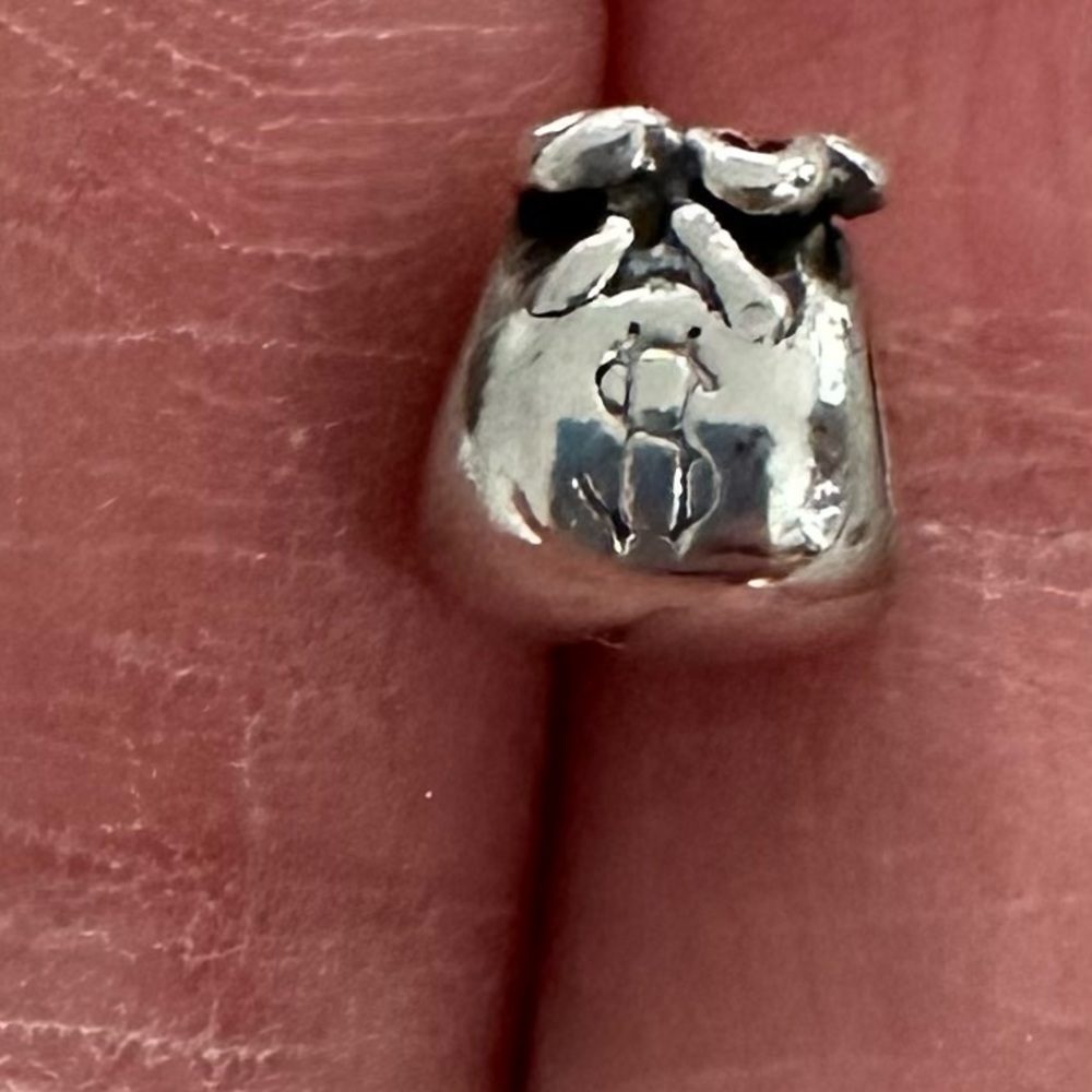Pandora Charm